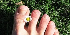 真菌的脚趾甲